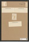Tetracyclus linearis (Ehr.) Grun. (de-Toni-Nr.: Genus 90, Species 3013) Zeichnungen Sammlung Grunow Nr. 6113 (NHMW-BOT-W0374647)